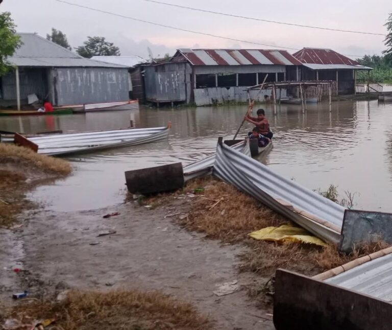 বাঘার পদ্মায় পানি কমলেও  বাড়ছে পদ্মার ভাঙন