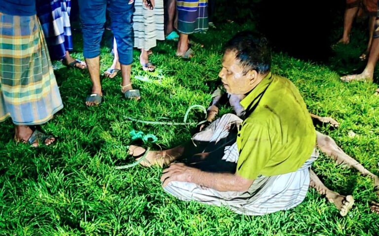 বাঘায় গরু চুরি করতে গিয়ে গণপিটুনি নিহত ১