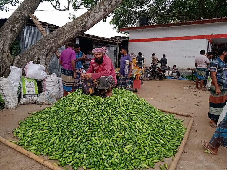 দুর্গাপুরে ঢলন প্রথায় ঠকছে কৃষক
