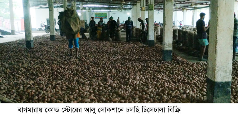 বাগমারায় হিমাগারের আলু নিয়ে বিপাকে কৃষক-ব্যবসায়ী