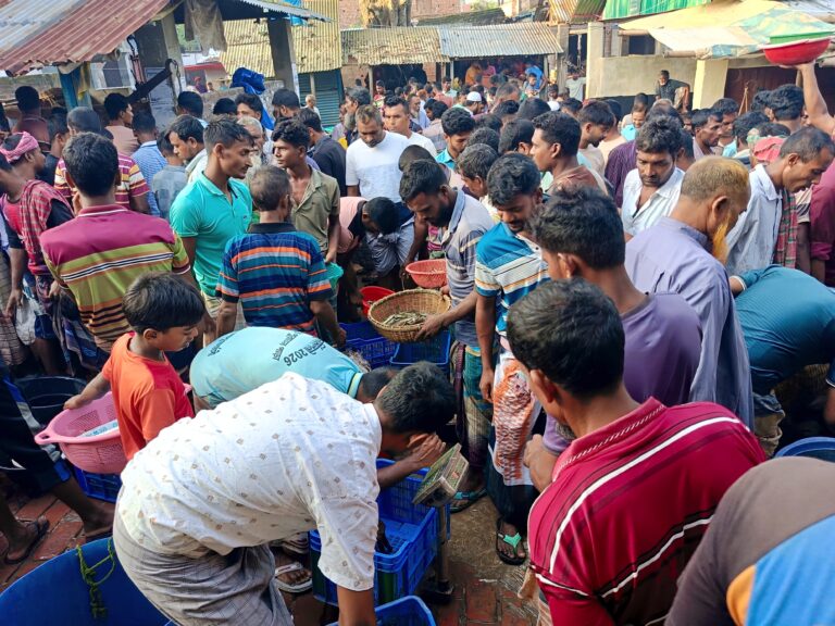 পুনর্ভবার মাছে জমে উঠেছে  নিতপুর বাজার