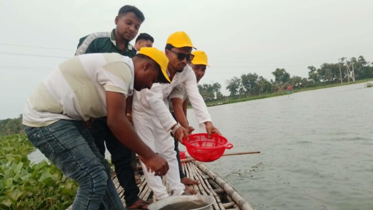 মান্দায় মাছের পোনা অবমুক্তকরণ