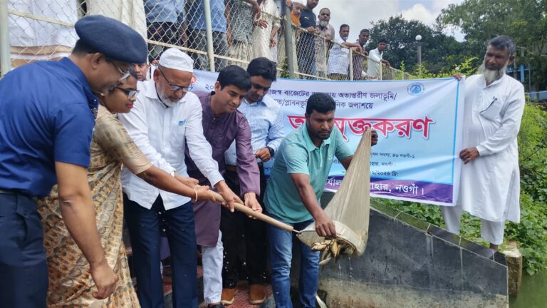 সাপাহারে জলাশয়ে মাছের পোনা অবমুক্ত
