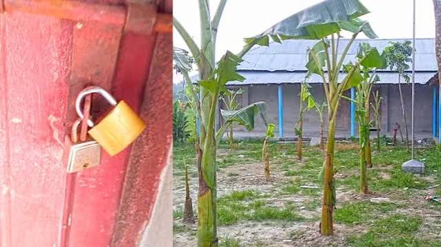 পুত্রবধূকে ‘চাকরি না দেওয়ায়’ বিদ্যালয়ে তালা-মাঠে কলাগাছ লাগলেন জমিদাতা