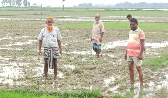 বাগমারায় সরকারি জমি দখল চেষ্টার অভিযোগ