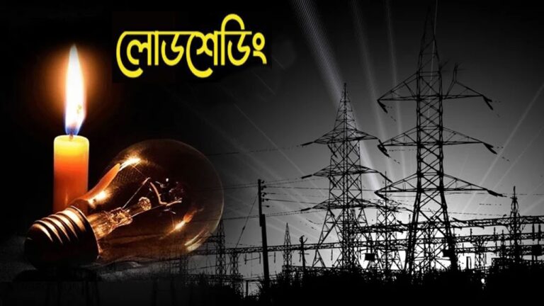 গোদাগাড়ীতে বিদ্যুতের লোডশেডিং-এ জনজীবন বিপর্যস্ত, কৃষকের ভোগান্তি