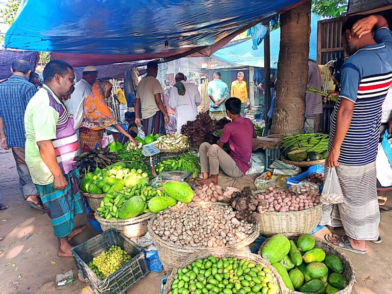 পোরশায় কমেছে শাক-সবজির দাম: স্বস্তিতে ক্রেতারা, লোকসানের আশঙ্কায় কৃষকরা