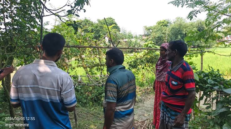 সাপাহারে কৃষকের সবজি ক্ষেত কেটে ফেলল দুর্বৃত্তরা