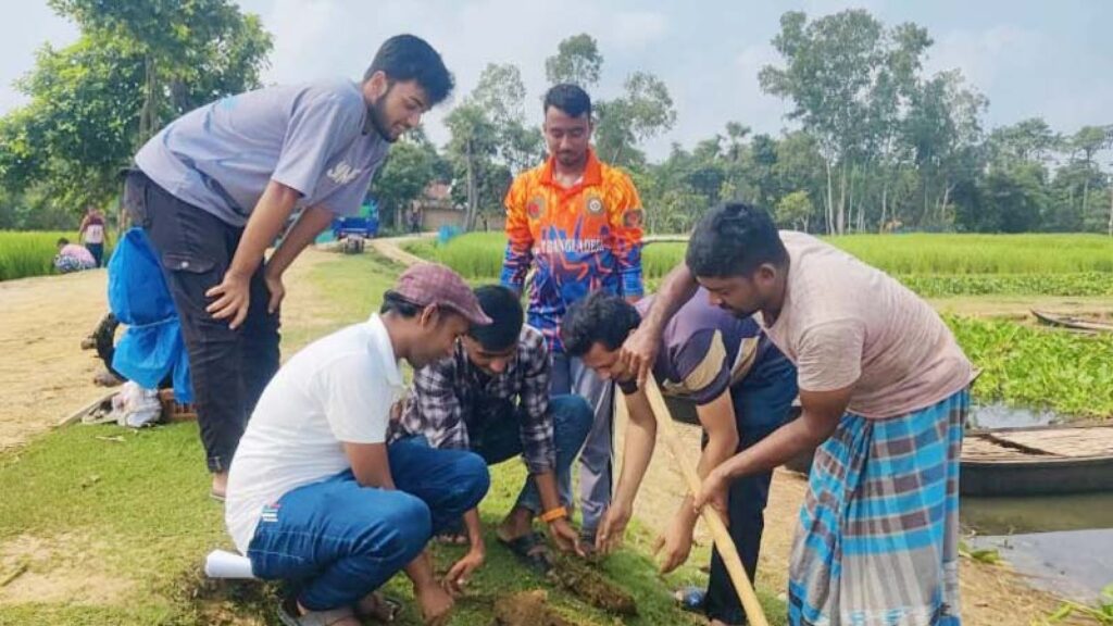 সাপাহারে জবই বিলে তালবীজ রোপণ কর্মসূচি