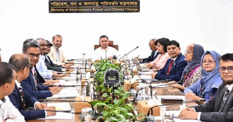 ৬ মাসের মধ্যে ‘মাতৃগাছ’ চিহ্নিত করে সংরক্ষণের নির্দেশ প্রধানমন্ত্রীর
